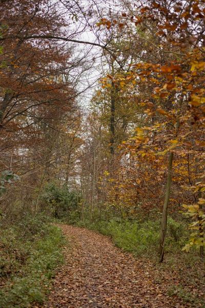 Hückelhoven Trail