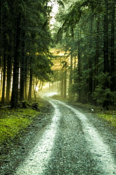 Rhön Road