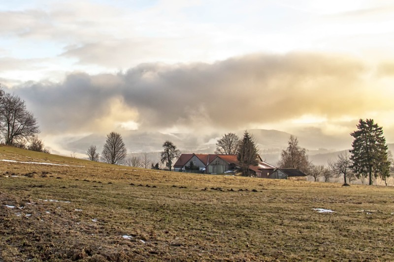 Rhon Farm
