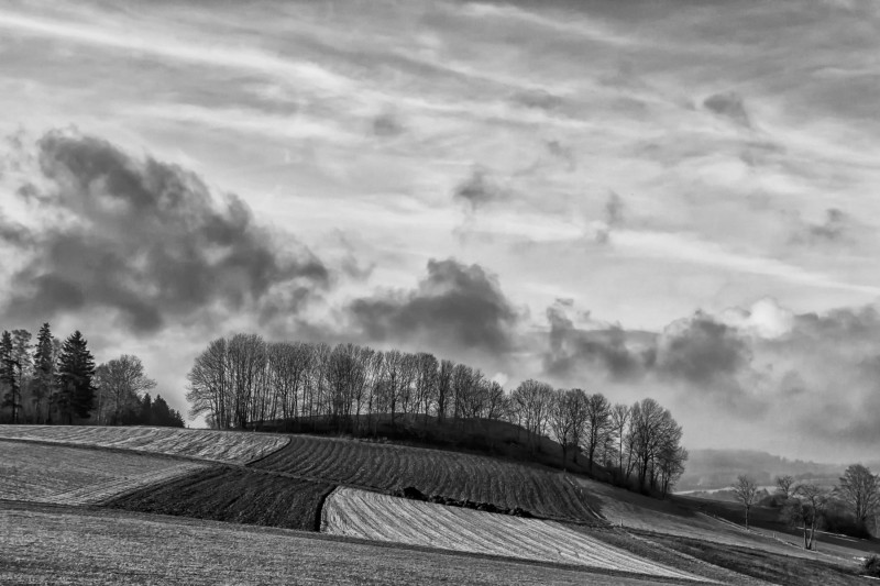 Rhon Farmers Faild B&W