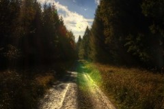 One morning