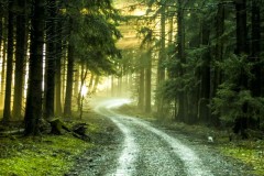 Rhön Road